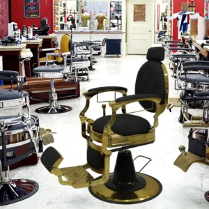 Heavy Duty Pump Barber Chair - Image 2