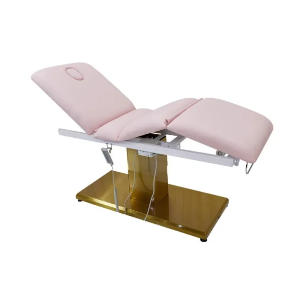 3 Motor Electric Massage Spa Bed