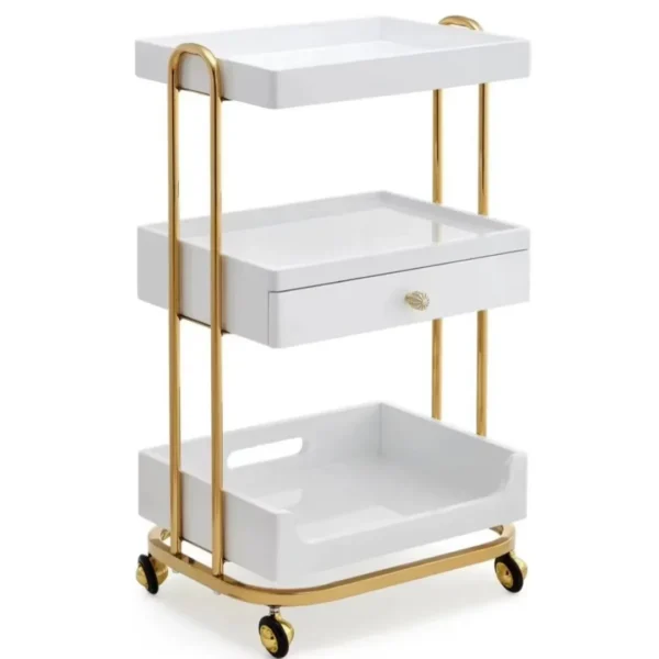 Multifunctional Salon Trolley