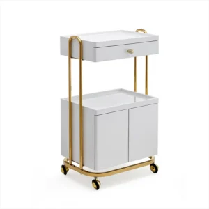 Salon Gold-Framed Dual-Storage Trolley