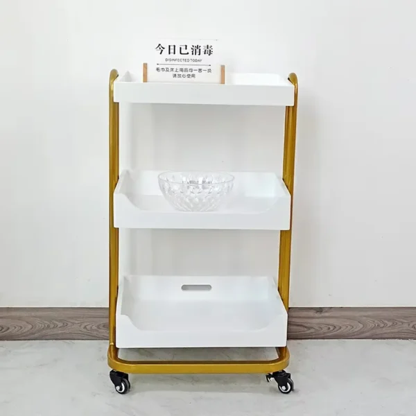 Multifunctional Salon Trolley