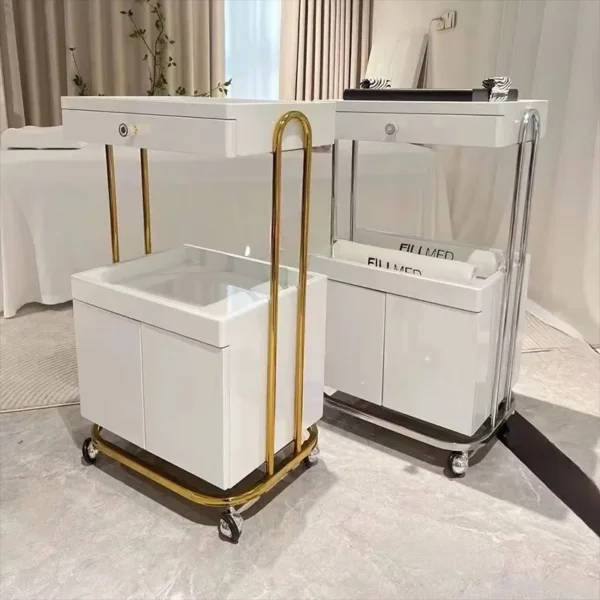 Salon Gold-Framed Dual-Storage Trolley